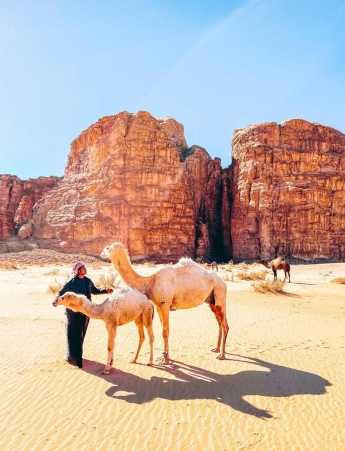 Wadi Rum Tents المظهر الخارجي الصورة
